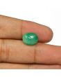 Brazil Emerald (Panna) - 5.66 Carat