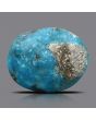 Irani Turquoise (Firoza) 22.1 Carat 