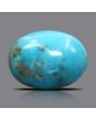 Irani Turquoise (Firoza) 13.61 Carat 