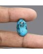 Irani Turquoise (Firoza) 15.67 Carat 