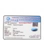 Irani Turquoise (Firoza) 15.67 Carat 