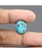 Irani Turquoise (Firoza) 18.18 Carat 