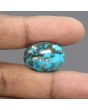 Irani Turquoise (Firoza) 32.64 Carat 