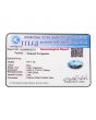 Irani Turquoise (Firoza) 24.11 Carat 