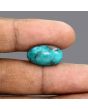 Irani Turquoise (Firoza) 12.01 Carat 