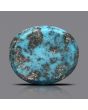 Irani Turquoise (Firoza) 22.24 Carat 