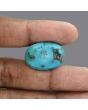 Irani Turquoise (Firoza) 35.92 Carat 