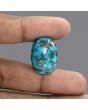 Irani Turquoise (Firoza) 37.63 Carat 