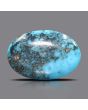 Irani Turquoise (Firoza) 54.19 Carat 