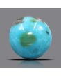 Irani Turquoise (Firoza) 19.5 Carat 