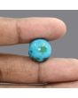 Irani Turquoise (Firoza) 19.5 Carat 