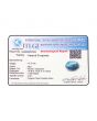 Irani Turquoise (Firoza) 13.37 Carat 