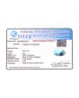 Irani Turquoise (Firoza) 26.52 Carat 