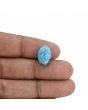 Irani Turquoise (Firoza) 8.66 Carat 