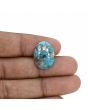 Irani Turquoise (Firoza) 12.93 Carat 