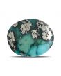 Irani Turquoise (Firoza) 12.53 Carat 