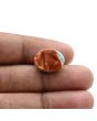 Arizona Turquoise (Firoza) 14.95 Carat 