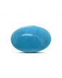 Arizona Turquoise (Firoza) 11.99 Carat 