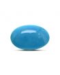 Arizona Turquoise (Firoza) 12.04 Carat 