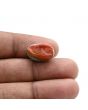Arizona Turquoise (Firoza) 12.04 Carat 