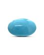 Arizona Turquoise (Firoza) 11.53 Carat 
