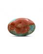 Arizona Turquoise (Firoza) 11.53 Carat 