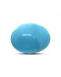 Arizona Turquoise (Firoza) 12.56 Carat 