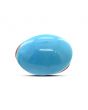 Arizona Turquoise (Firoza) 12.4 Carat 