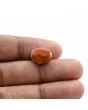 Arizona Turquoise (Firoza) 8.14 Carat 