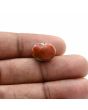 Arizona Turquoise (Firoza) 7.78 Carat 