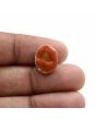 Arizona Turquoise (Firoza) 8.43 Carat 