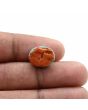 Arizona Turquoise (Firoza) 8.07 Carat 