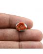 Arizona Turquoise (Firoza) 6.81 Carat 