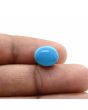 Arizona Turquoise (Firoza) 7.02 Carat 