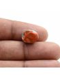 Arizona Turquoise (Firoza) 7.02 Carat 