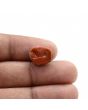 Arizona Turquoise (Firoza) 6.46 Carat 