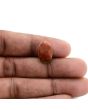 Arizona Turquoise (Firoza) 9.12 Carat 