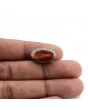 Arizona Turquoise (Firoza) 10.93 Carat 