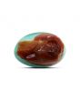 Arizona Turquoise (Firoza) 11.03 Carat 