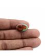 Arizona Turquoise (Firoza) 11.03 Carat 