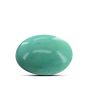 Arizona Turquoise (Firoza) 10.92 Carat 