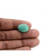 Arizona Turquoise (Firoza) 10.92 Carat 