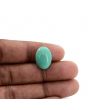 Arizona Turquoise (Firoza) 10.92 Carat 