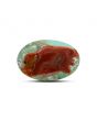 Arizona Turquoise (Firoza) 13.76 Carat 