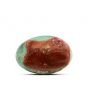 Arizona Turquoise (Firoza) 12.26 Carat 