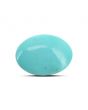 Arizona Turquoise (Firoza) 12.46 Carat 