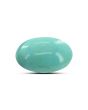 Arizona Turquoise (Firoza) 6.95 Carat 