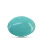 Arizona Turquoise (Firoza) 9.45 Carat 