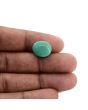 Arizona Turquoise (Firoza) 6.64 Carat 