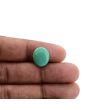 Arizona Turquoise (Firoza) 6.64 Carat 